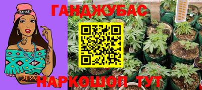крисы Малоярославец