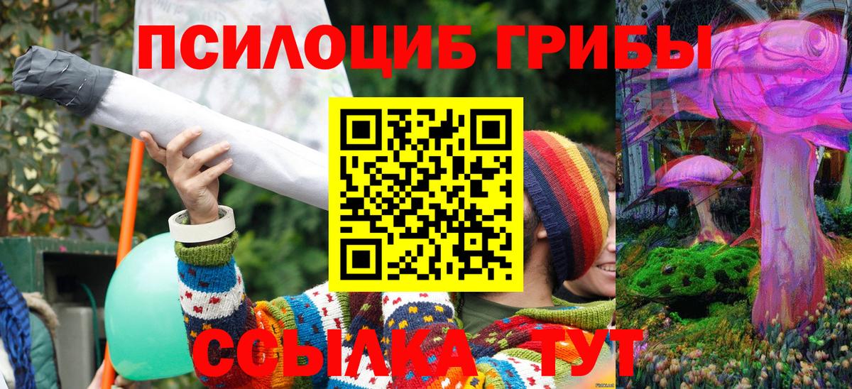 Бузулук  закладки  Вход с VPN  Галлюциногенные грибы MAGIC MUSHROOMS 