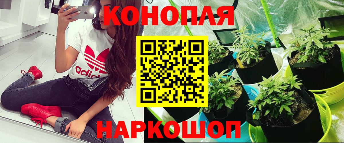 Марихуана AK-47  Марихуана MAZAR  МАРИХУАНА ГИДРОПОН  Бузулук  Вход с VPN 